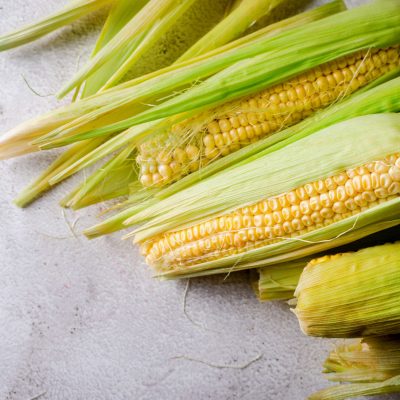 fresh-young-sweet-corn-on-cobs-on-grey-table-2022-10-07-21-43-23-utc-min